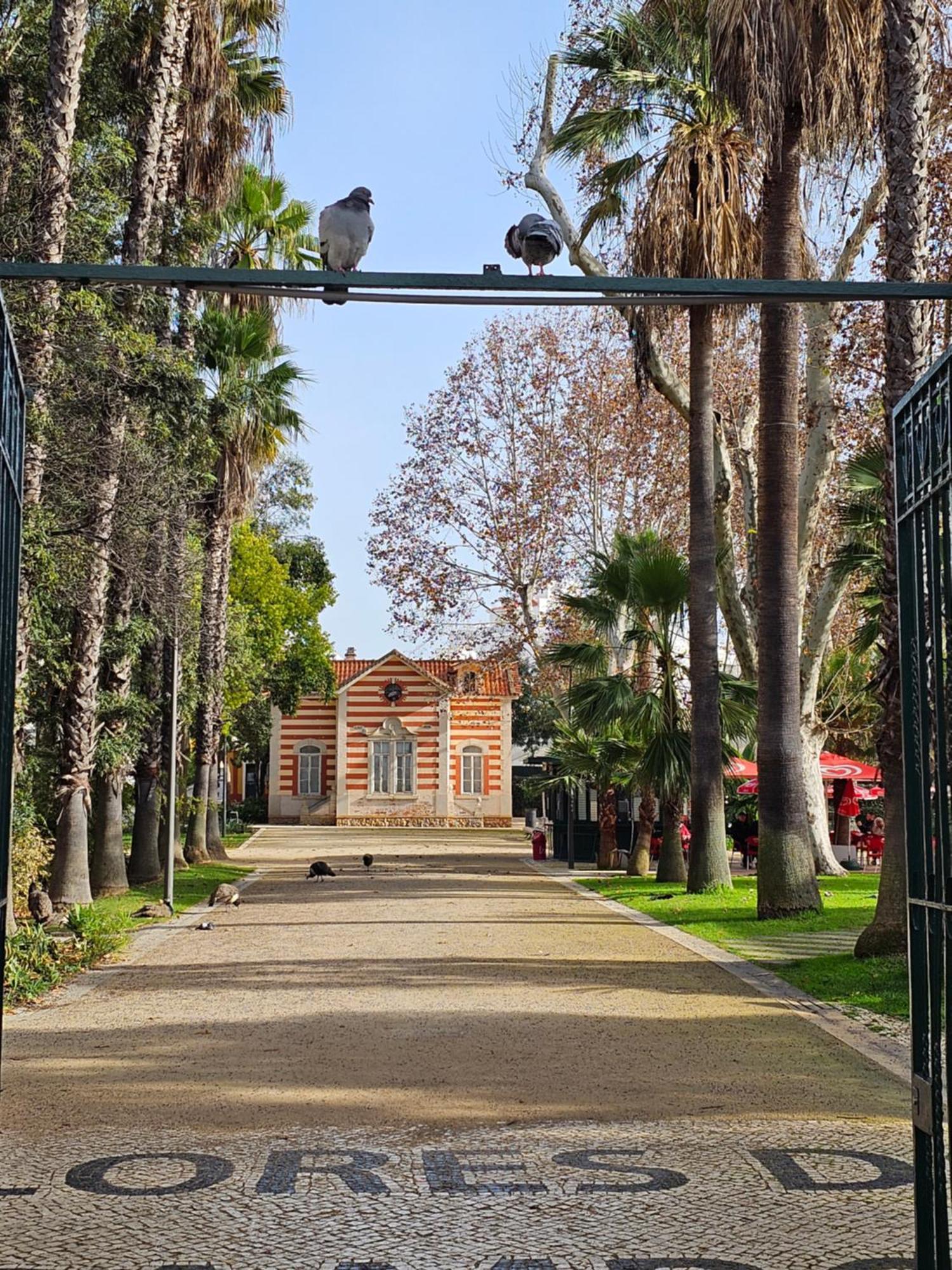 Casa Jasmim Apartment Faro Bagian luar foto