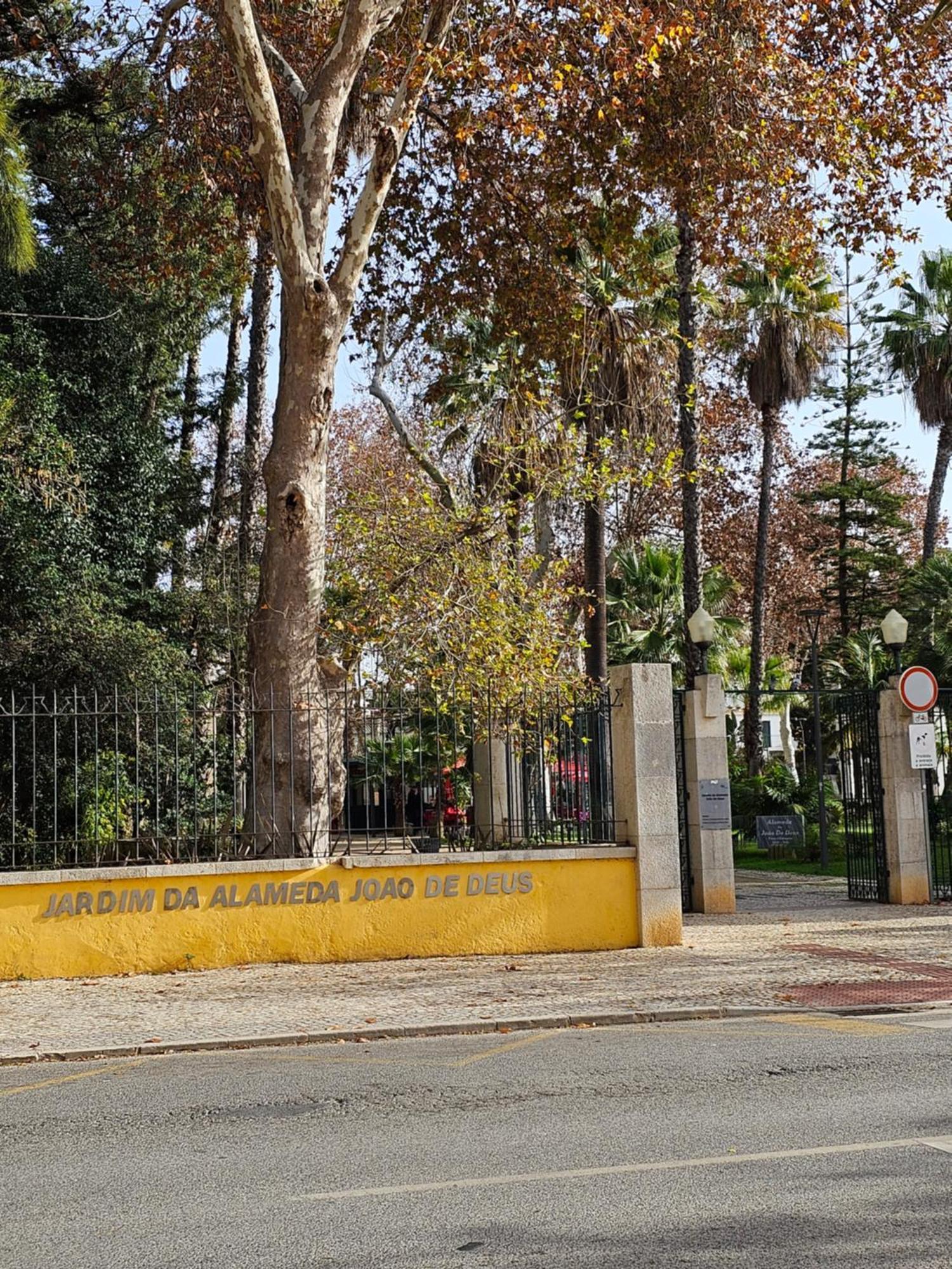 Casa Jasmim Apartment Faro Bagian luar foto